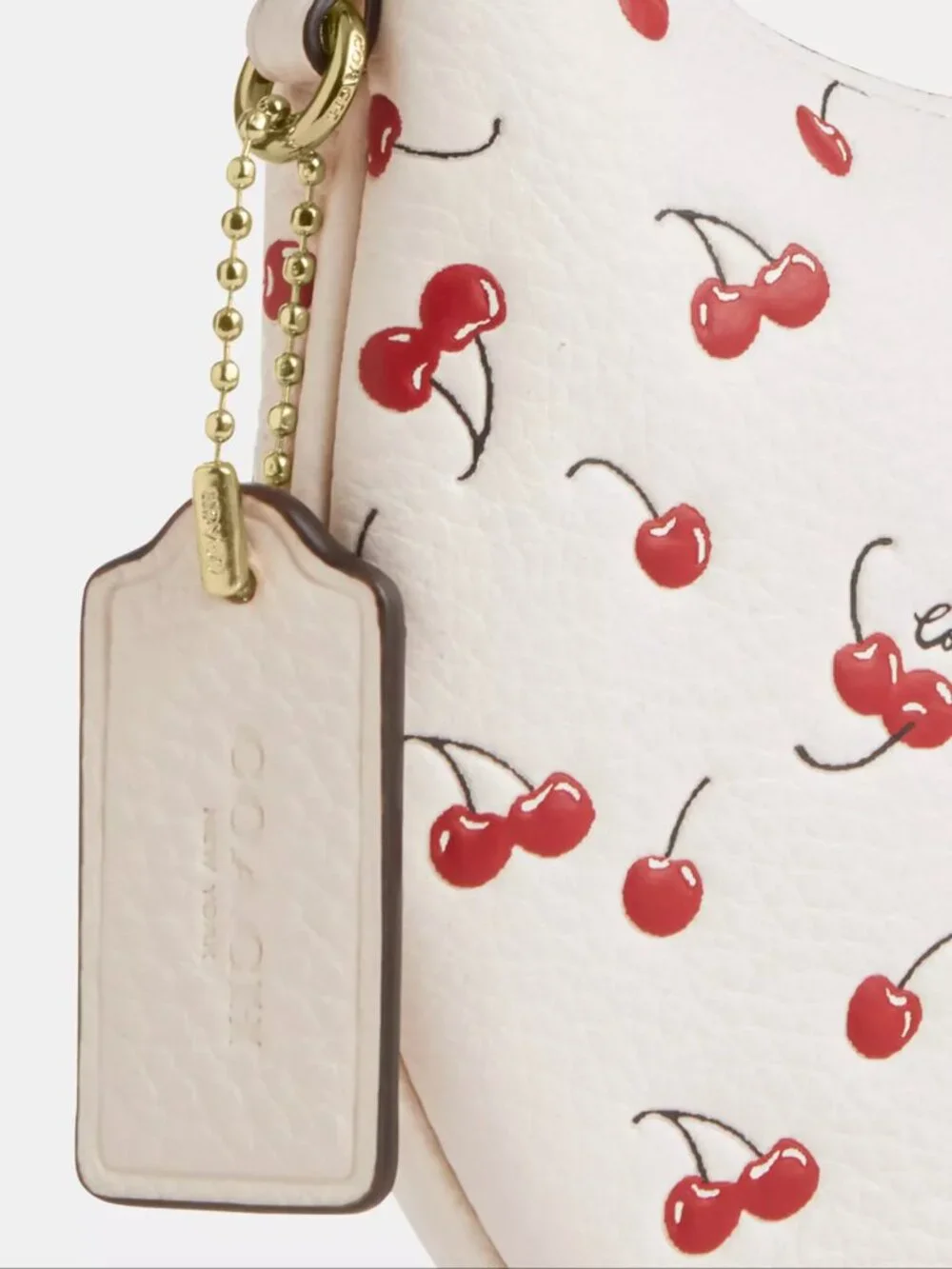 Mini Payton Bag With Cherry Print CFD04